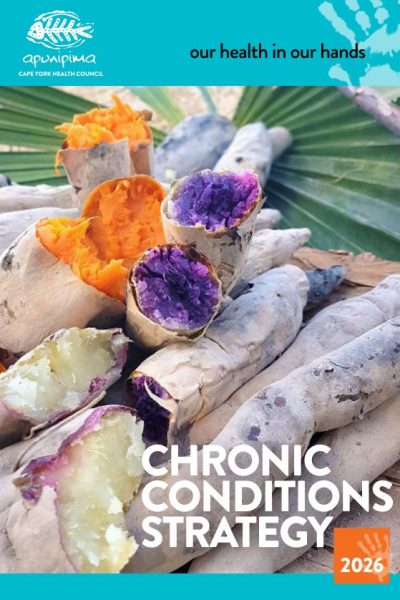 chronic-conditions-strategy-cover
